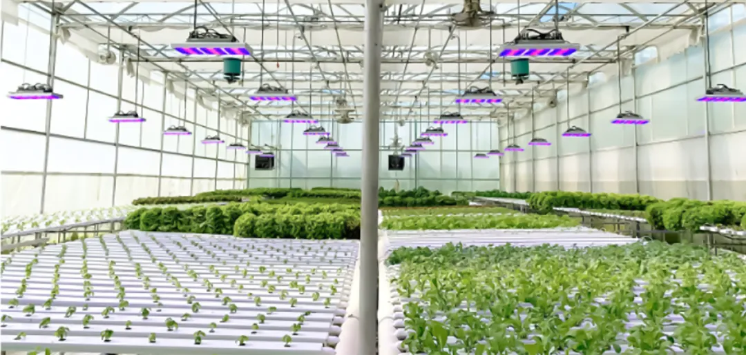 Cabinet and horticultural lighting